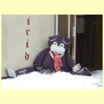 DSCN5446.JPG